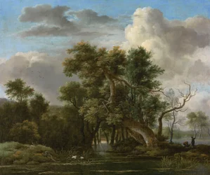 Ein Waldteich
