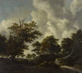 Waldlandschaft mit einer großen Eiche und zwei umgestürzten Buchen bei einem Wasserfall