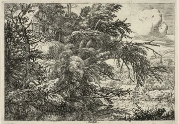 Hütte auf dem Hügel