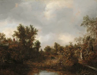 Landschaft