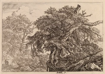 Alter Baum