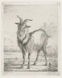 Stehende Ziege