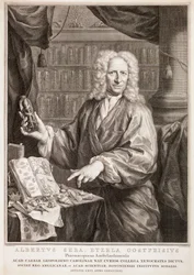 Porträt von Albertus Seba, nach Jan Maurits Quinkhard