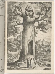 Erscheinung der Jungfrau im Buchenbaum [Tafel P]