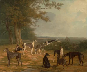 Neun Windhunde in einer Landschaft