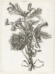 Blumenstrauß mit verblühten Tulpen, einer Anemone und Immortellen (Diverses Fleurs mises en Boucquets)