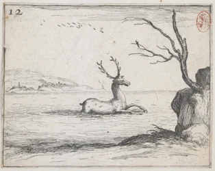 Ein Hirsch im Wasser - Nr. 12 aus der Serie