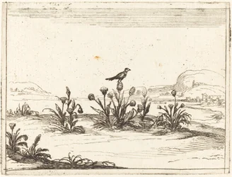 Vogel auf einer Distel sitzend