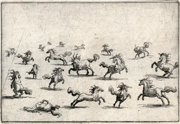 Capricci di varie figure