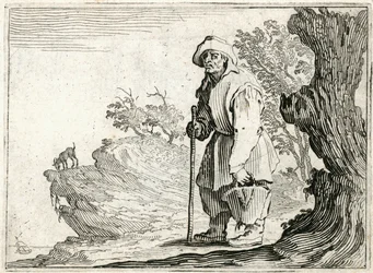 Capricci di varie figure