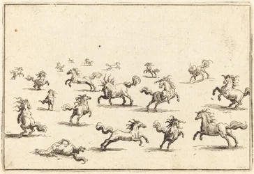 Pferde im Galopp