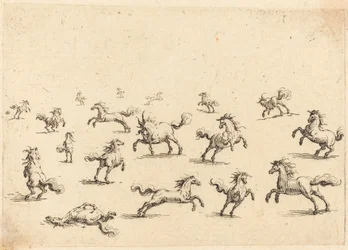 Pferde im Galopp