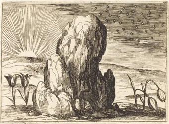 Die Tulpen und die Sonne, 1628