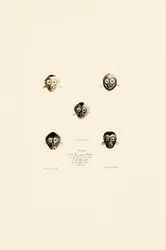 Vergleichende Gesichter verschiedener Affenarten