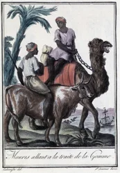 Mohren auf dem Weg zum Gummihandel - in „Enzyklopädie der Reisen“ von Grasset St Sauveur, hrsg. 1796