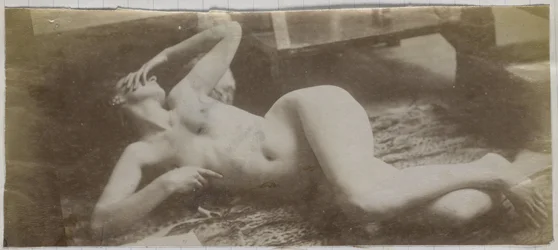 Studie eines weiblichen Aktmodells, auf einem Tigerfell liegend, im Atelier von Jacques de Lalaing