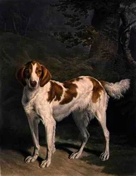 Dash, graviert von Charles Turner, veröffentlicht von R. Ackermann Jnr.