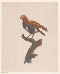 Vogel auf einem Ast