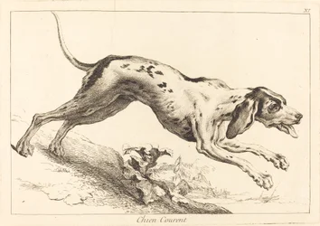 Laufender Hund