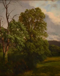 Die Eichen