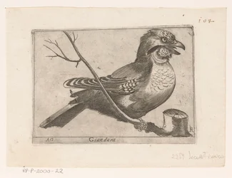 Eichelhäher (Garrulus glandarius)