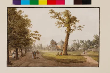 Panorama in der Hauptallee im Wiener Prater