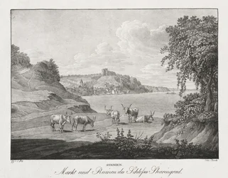 Syrmien, Markt und Ruinen des Schlosses Sharengrad