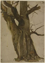 Hohler Baum