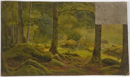 In einem Wald
