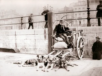 Mann mit Hundekarren, Antwerpen, 1898