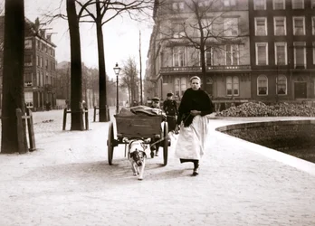 Frau mit Hundekarren, Rotterdam, 1898
