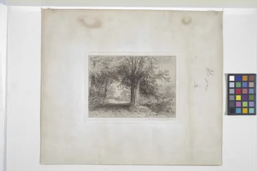 Landschaft