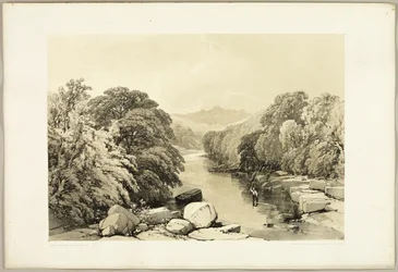 Esche, Ahorn und Eiche, aus Der Park und der Wald
