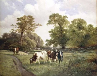 Vieh weidet an einem Pfad in einer bewaldeten Landschaft