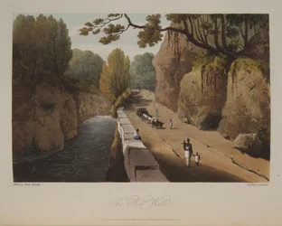 Der Sumpfweg