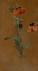 Studie von Mohnblumen, 1832 (nach der Konservierung)