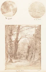 Der Ansatz, Im Wald, Am See, 1853-56