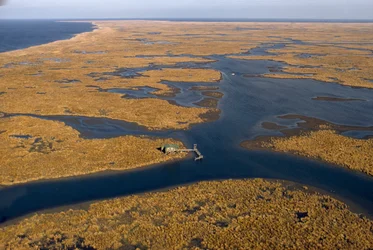 Ein Austernfischerhaus auf Stelzen steht über einer weiten Fläche von Marschgras. Luftaufnahme, Mississippi...