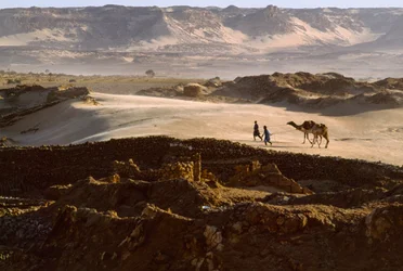 Kamel mit Salzkarawanenmitgliedern überquert ein Wüstenplateau in BILMA, NIGER. BILMA, NIGER