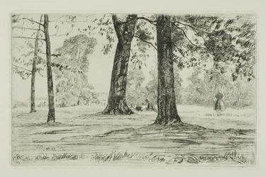 Greenwich Park