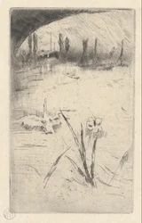 Schwan und Iris