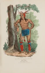 KAA-NUN-DER-WAAGUINSE-ZOO oder die Beerenpflückerin; Ein berühmter Chippewa-Häuptling, aus The Aboriginal Portfolio