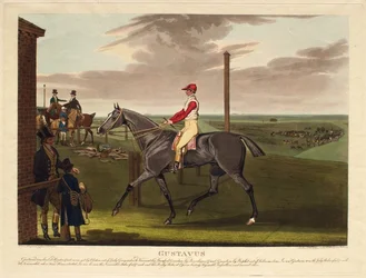 „Gustavus“