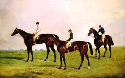 Rennpferde mit Jockeys