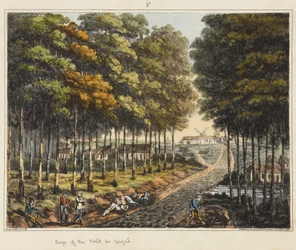 Rand des Waldes von Soignes, aus 