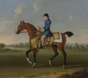 Ein braunes Rennpferd mit Jockey