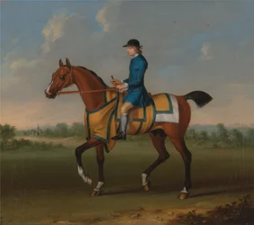 Ein braunes Rennpferd mit Jockey