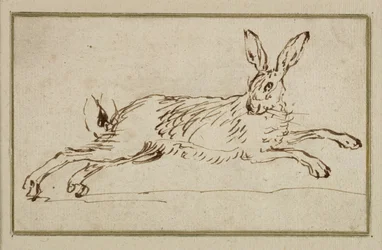 Ein Hase läuft, mit aufgerichteten Ohren