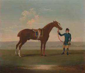 Eines von vier Pferdeporträts - ein Kastanienbraunes Pferd (? Alter Partner) gehalten von einem Stallburschen: stehend nach rechts, mit blauem Satteltuch mit Goldrand; der Stallbursche in Blau