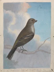 Ein Vogel